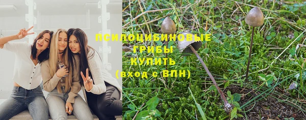 Альфа ПВП Балабаново