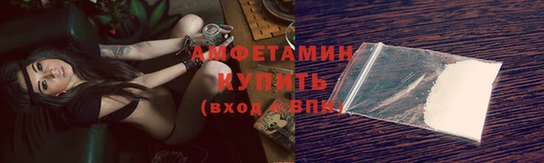 крисы Баксан
