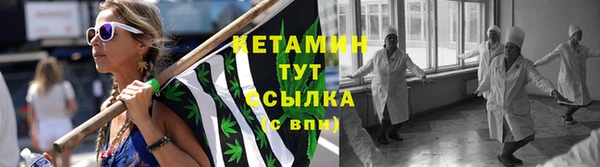 крисы Баксан