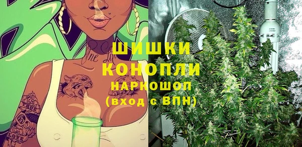 крисы Баксан