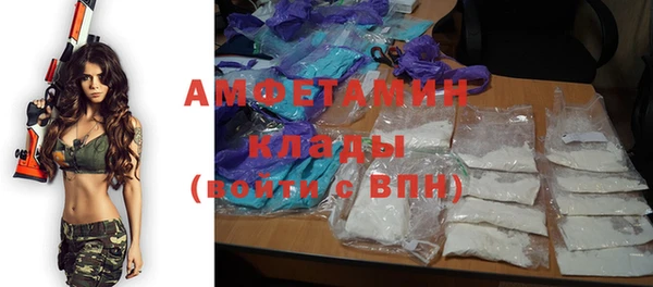крисы Баксан