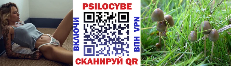 Галлюциногенные грибы GOLDEN TEACHER  Шилка 